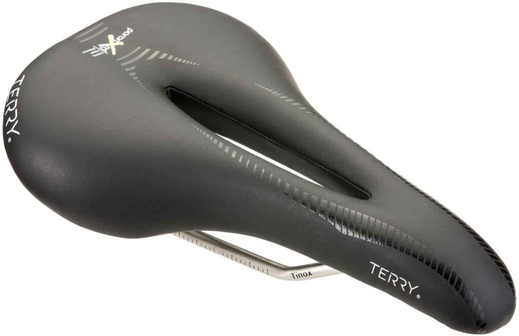 Terry Butterfly Century Saddle Review